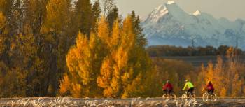 Stunning views of Mt Cook on the Alps to Ocean cycle trail | Colin Monteath